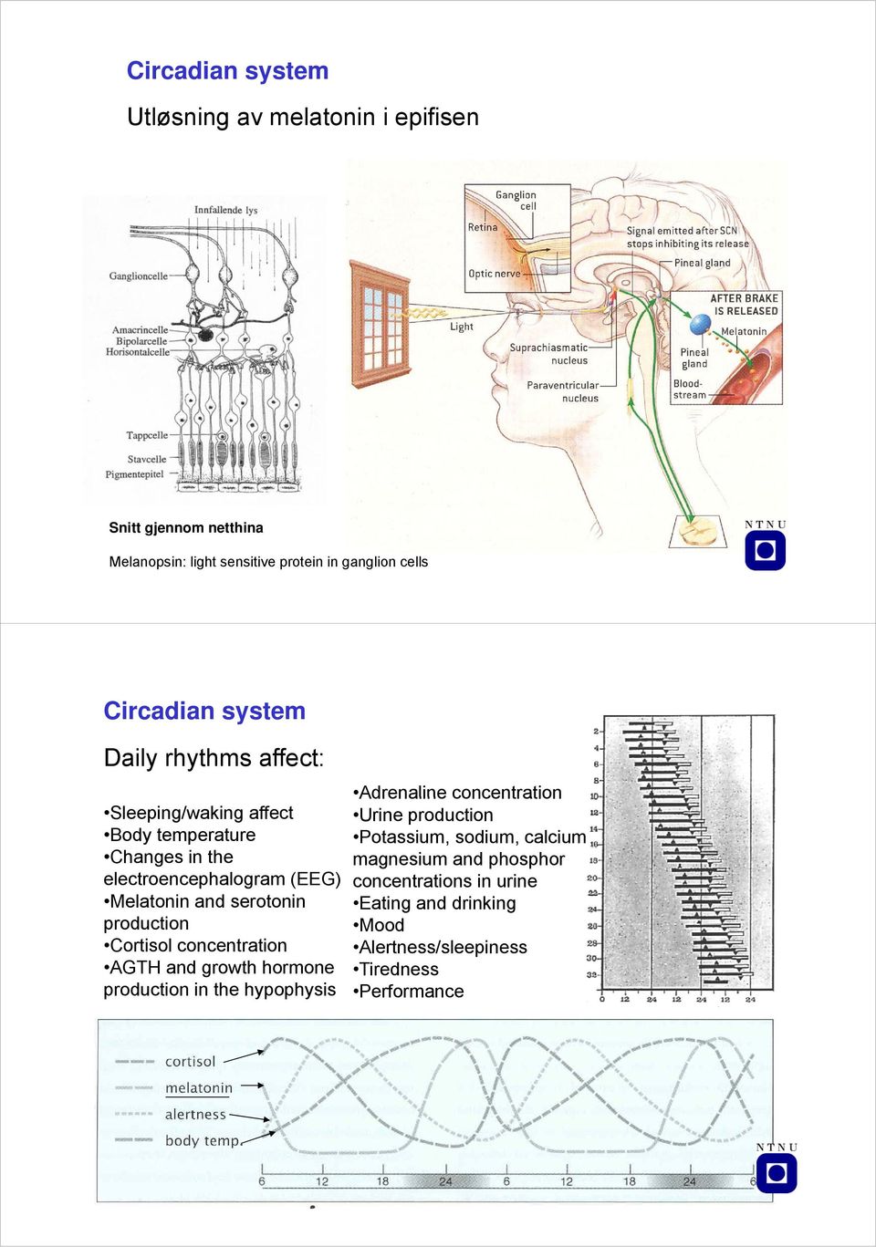 serotonin production Cortisol concentration AGTH and growth hormone production in the hypophysis Adrenaline concentration Urine