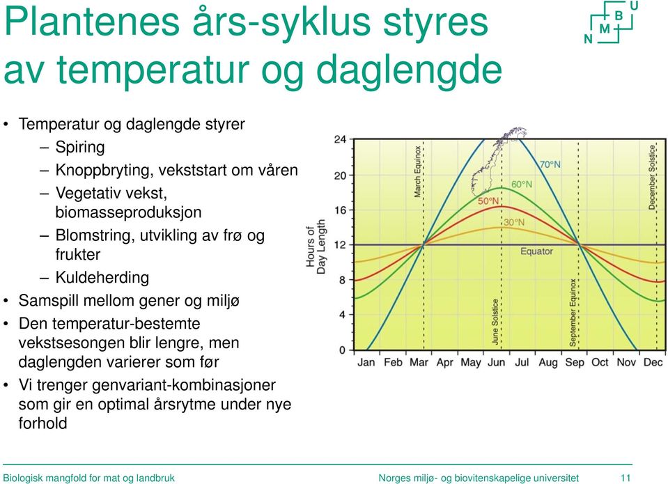 Den temperatur-bestemte vekstsesongen blir lengre, men daglengden varierer som før Vi trenger genvariant-kombinasjoner som