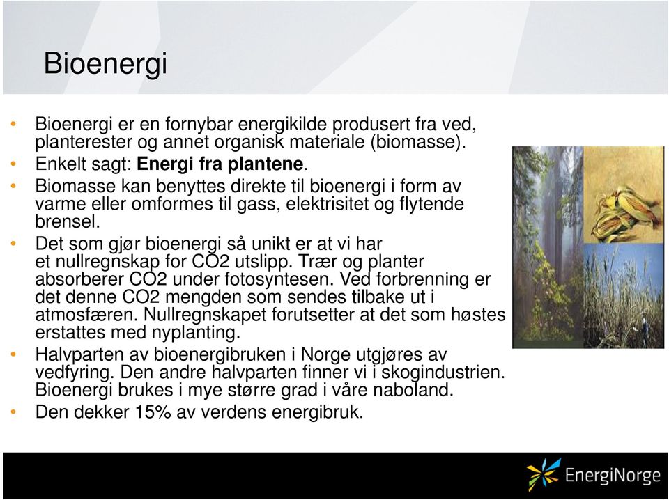 Det som gjør bioenergi så unikt er at vi har et nullregnskap for CO2 utslipp. Trær og planter absorberer CO2 under fotosyntesen.