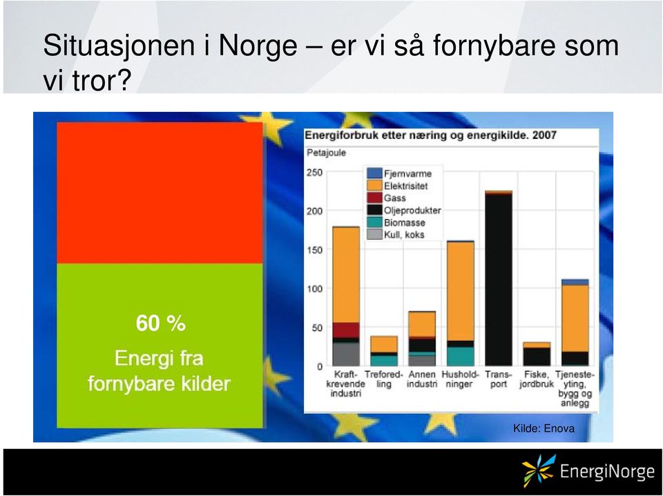 fornybare som vi