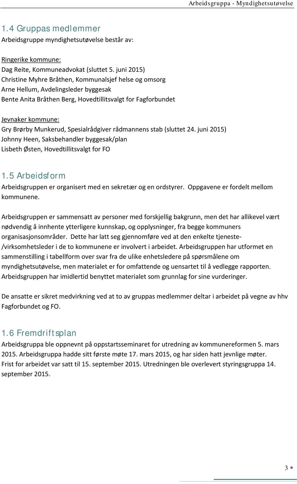 Munkerud, Spesialrådgiver rådmannens stab (sluttet 24. juni 2015) Johnny Heen, Saksbehandler byggesak/plan Lisbeth Østen, Hovedtillitsvalgt for FO 1.