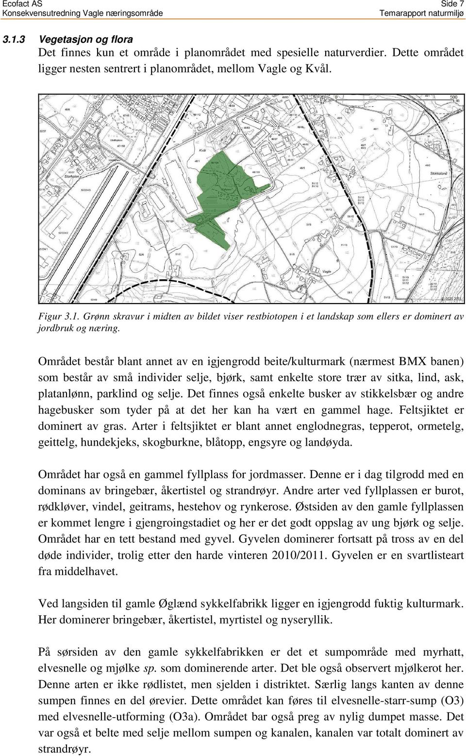 Det finnes også enkelte busker av stikkelsbær og andre hagebusker som tyder på at det her kan ha vært en gammel hage. Feltsjiktet er dominert av gras.