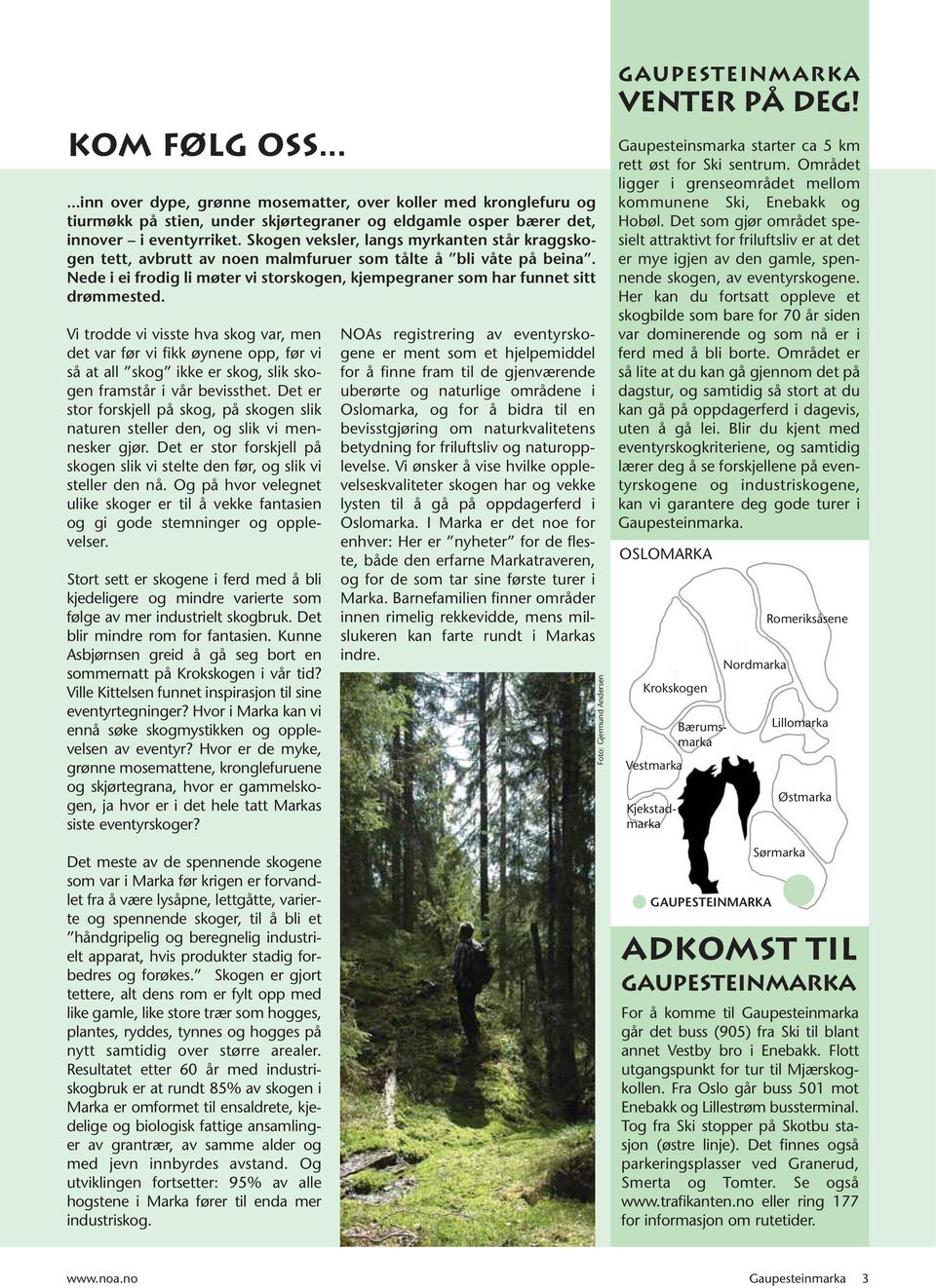 Vi trodde vi visste hva skog var, men det var før vi fikk øynene opp, før vi så at all skog ikke er skog, slik skogen framstår i vår bevissthet.