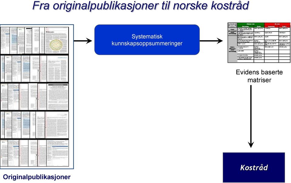 kunnskapsoppsummeringer Evidens