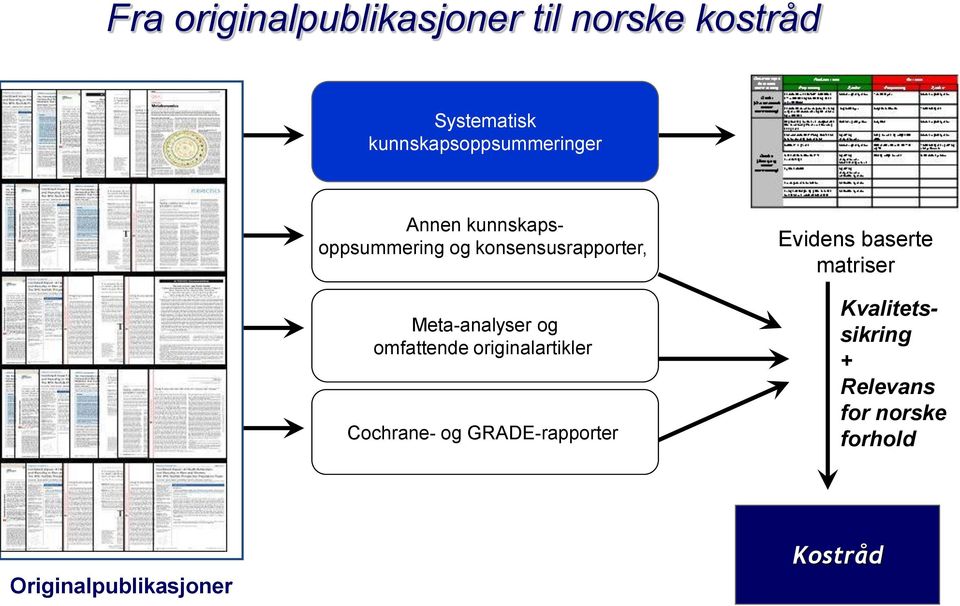 Meta-analyser og omfattende originalartikler Cochrane- og GRADE-rapporter