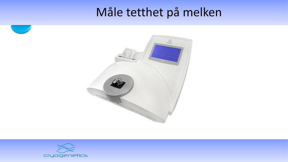 på melken