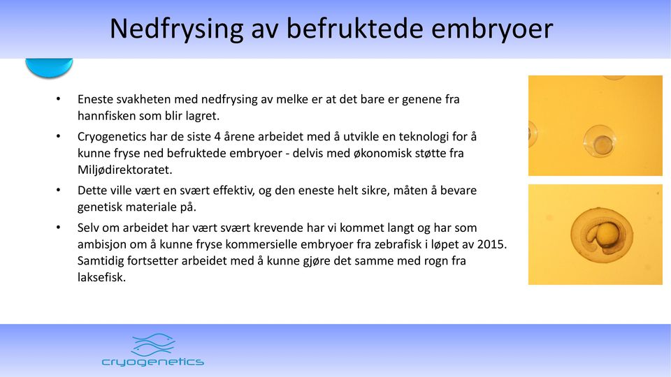 Miljødirektoratet. Dette ville vært en svært effektiv, og den eneste helt sikre, måten å bevare genetisk materiale på.