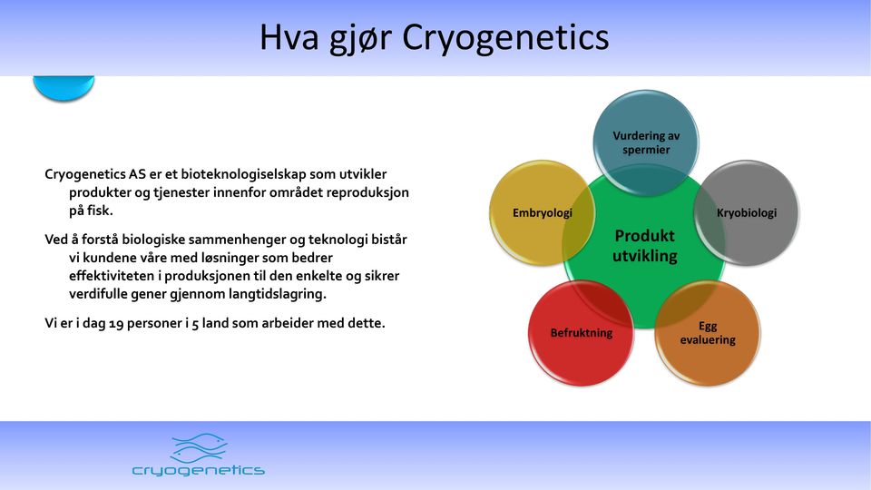 Ved å forstå biologiske sammenhenger og teknologi bistår vi kundene våre med løsninger som bedrer effektiviteten i