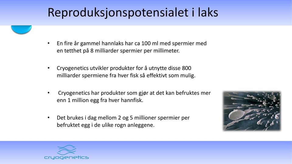 Cryogenetics utvikler produkter for å utnytte disse 800 milliarder spermiene fra hver fisk så effektivt som