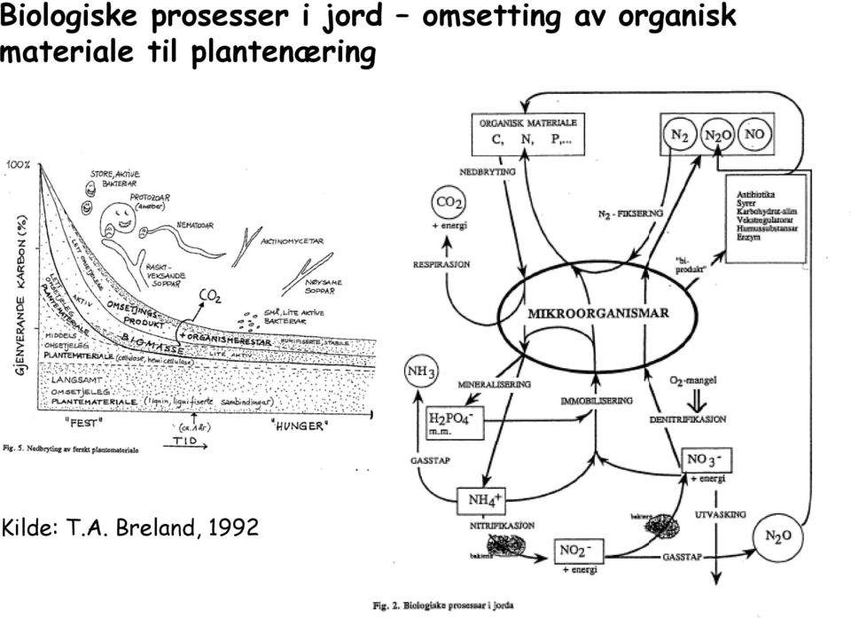 organisk materiale til