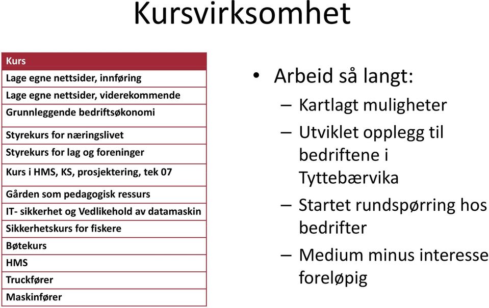 langt: Kartlagt muligheter Utviklet opplegg til bedriftene i Tttb Tyttebærvika IT sikkerhet og Vedlikehold av datamaskin