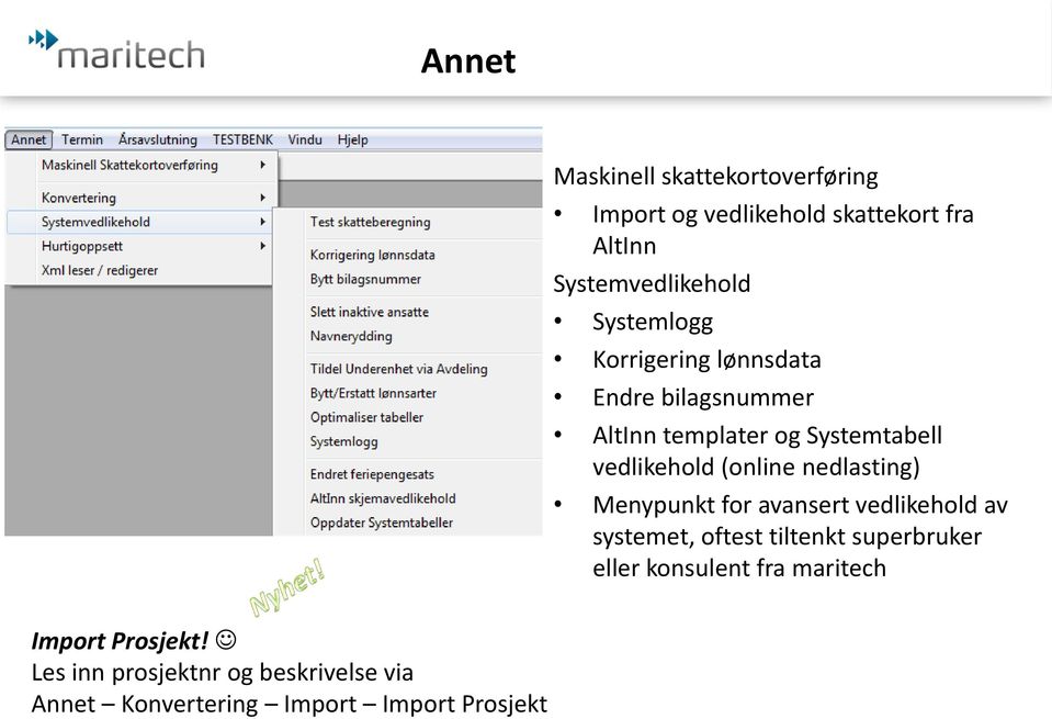 nedlasting) Menypunkt for avansert vedlikehold av systemet, oftest tiltenkt superbruker eller konsulent