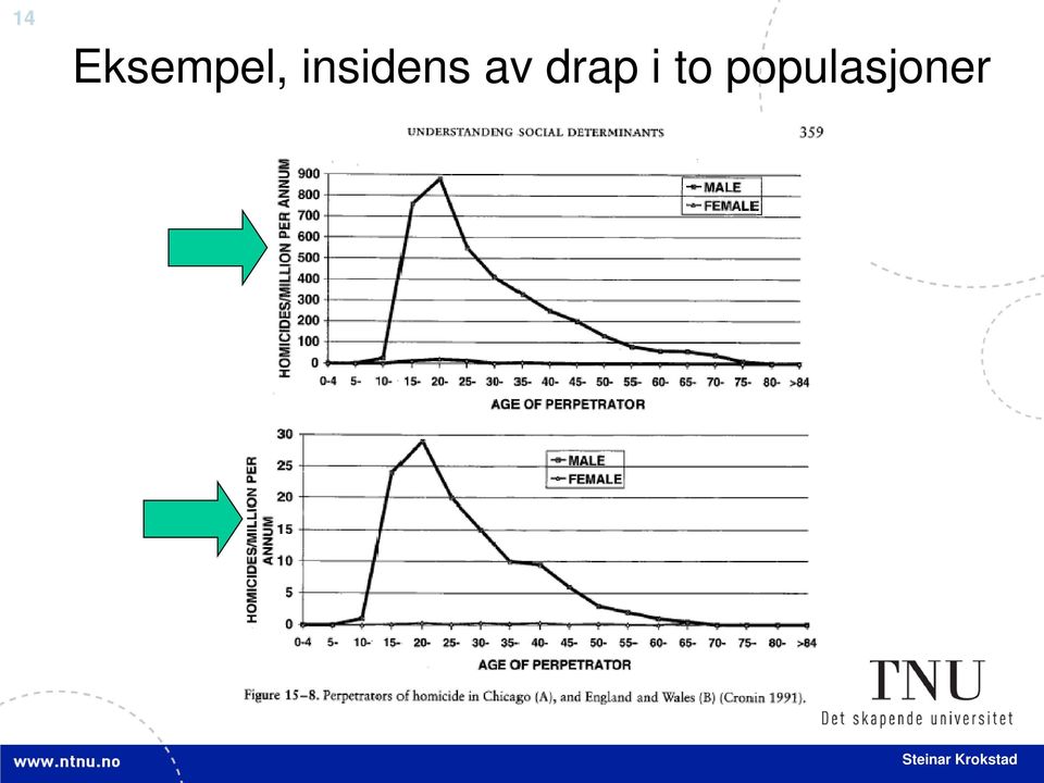 insidens av