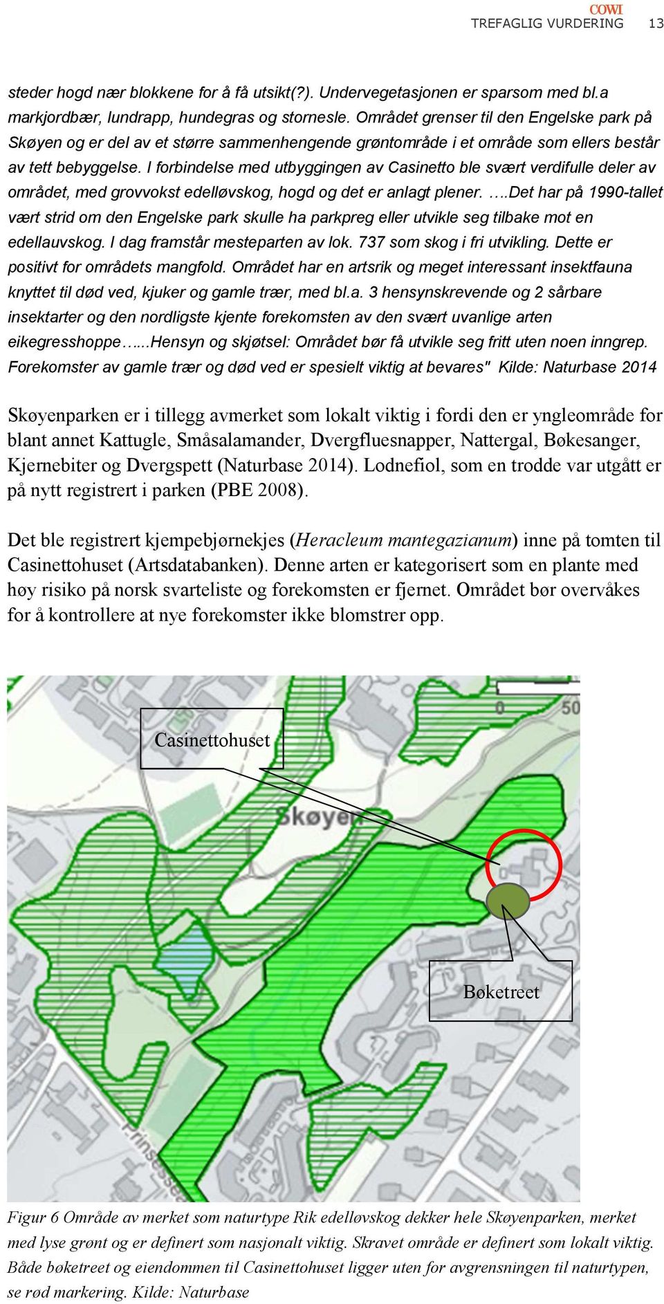 I forbindelse med utbyggingen av Casinetto ble svært verdifulle deler av området, med grovvokst edelløvskog, hogd og det er anlagt plener. 0.