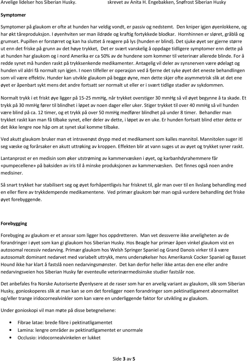 Det sjuke øyet ser gjerne større ut enn det friske på grunn av det høye trykket, Det er svært vanskelig å oppdage tidligere symptomer enn dette på at hunden har glaukom og i nord Amerika er ca 50% av