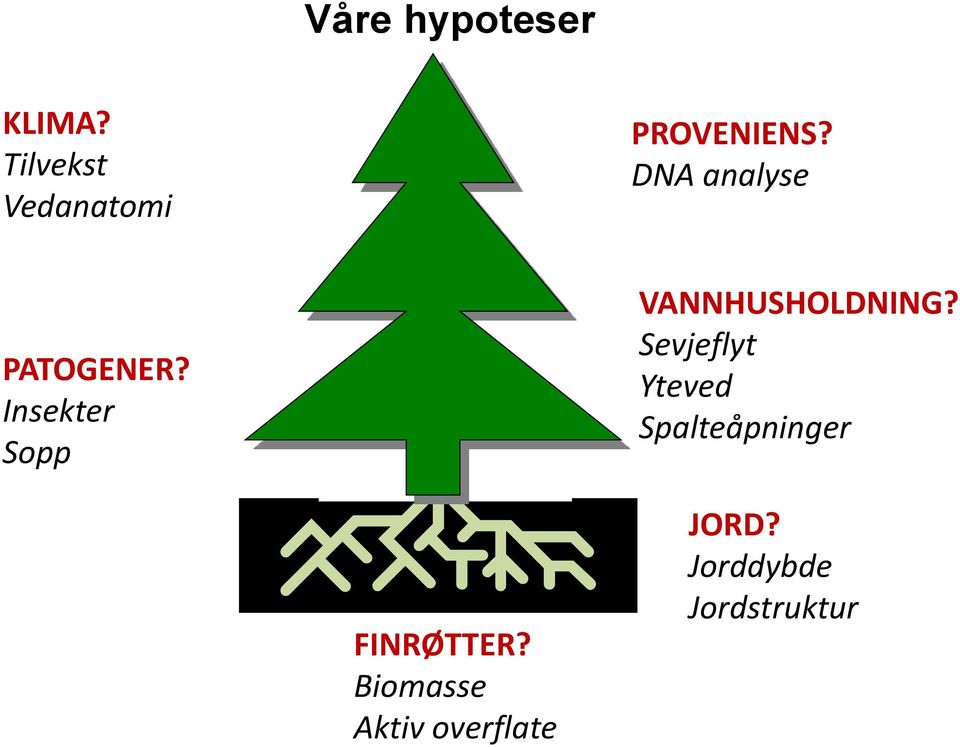 DNA analyse PATOGENER?