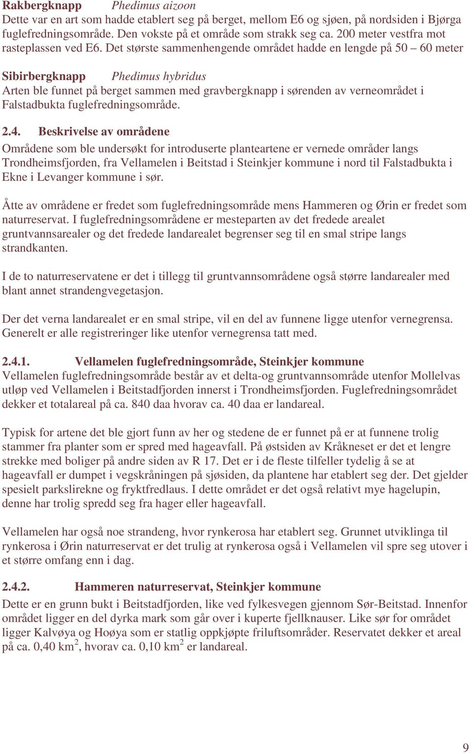 Det største sammenhengende området hadde en lengde på 50 60 meter Sibirbergknapp Phedimus hybridus Arten ble funnet på berget sammen med gravbergknapp i sørenden av verneområdet i Falstadbukta