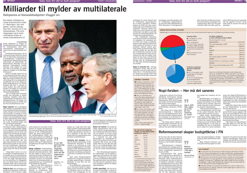 ELLEN HOFSVANG Rundt halvparten av Norges bistandsbudsjett kanaliseres gjennom FN, Verdensbanken eller andre internasjonale organisasjoner. I 2005 er det om lag 8 milliarder kroner.