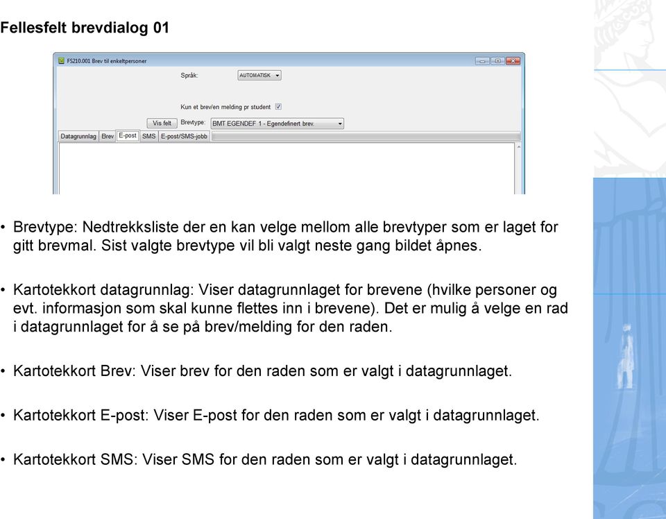 informasjon som skal kunne flettes inn i brevene). Det er mulig å velge en rad i datagrunnlaget for å se på brev/melding for den raden.