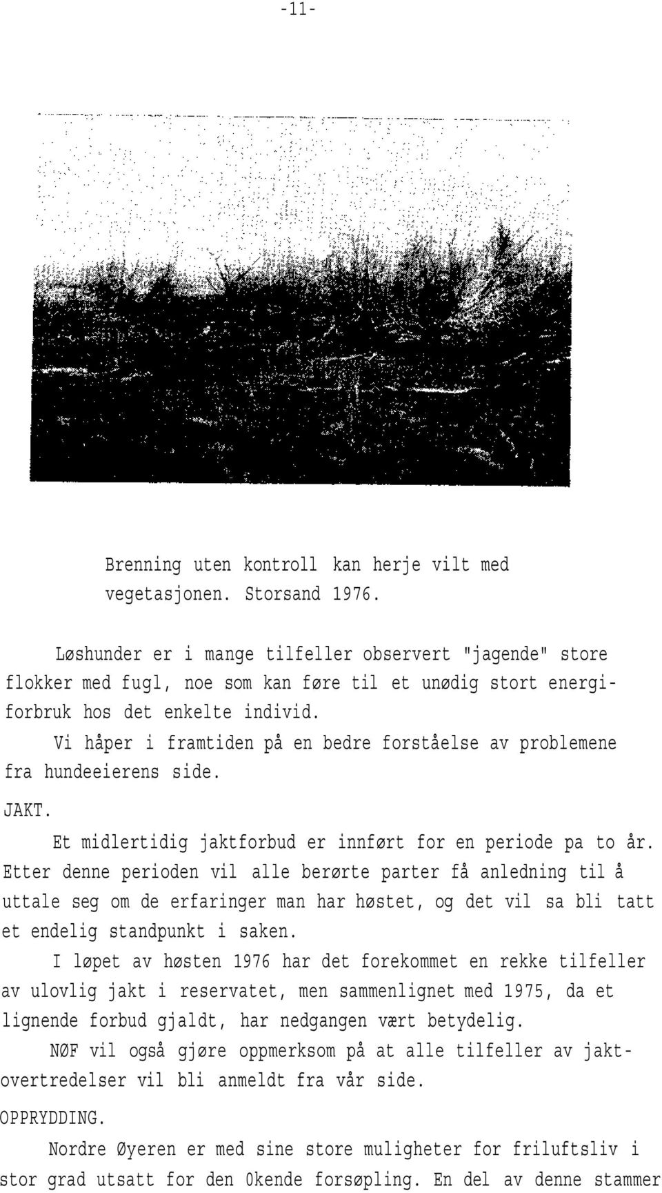 Vi håper i framtiden på en bedre forståelse av problemene fra hundeeierens side. JKT. Et midlertidig jaktforbud er innført for en periode pa to år.