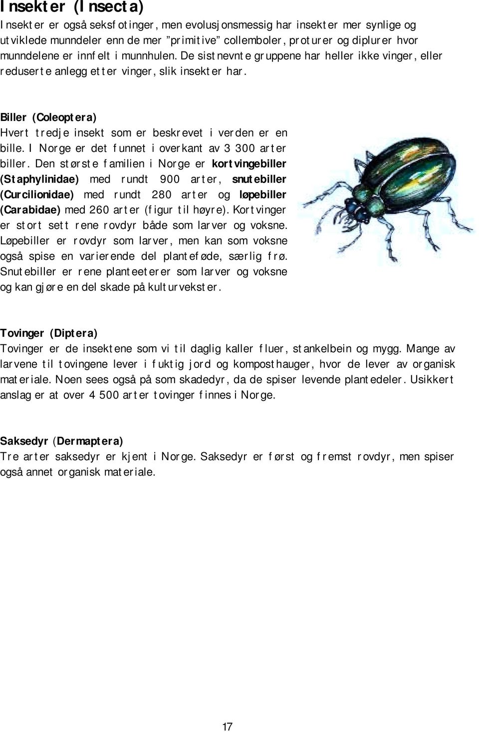 Biller (Coleoptera) Hvert tredje insekt som er beskrevet i verden er en bille. I Norge er det funnet i overkant av 3 300 arter biller.