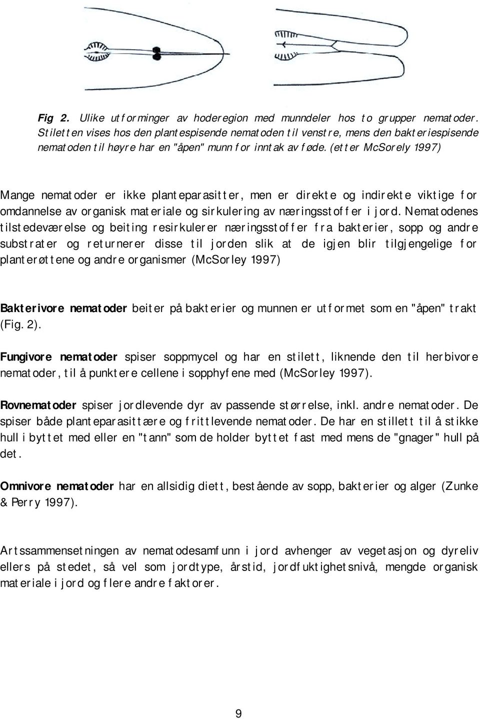 (etter McSorely 1997) Mange nematoder er ikke planteparasitter, men er direkte og indirekte viktige for omdannelse av organisk materiale og sirkulering av næringsstoffer i jord.