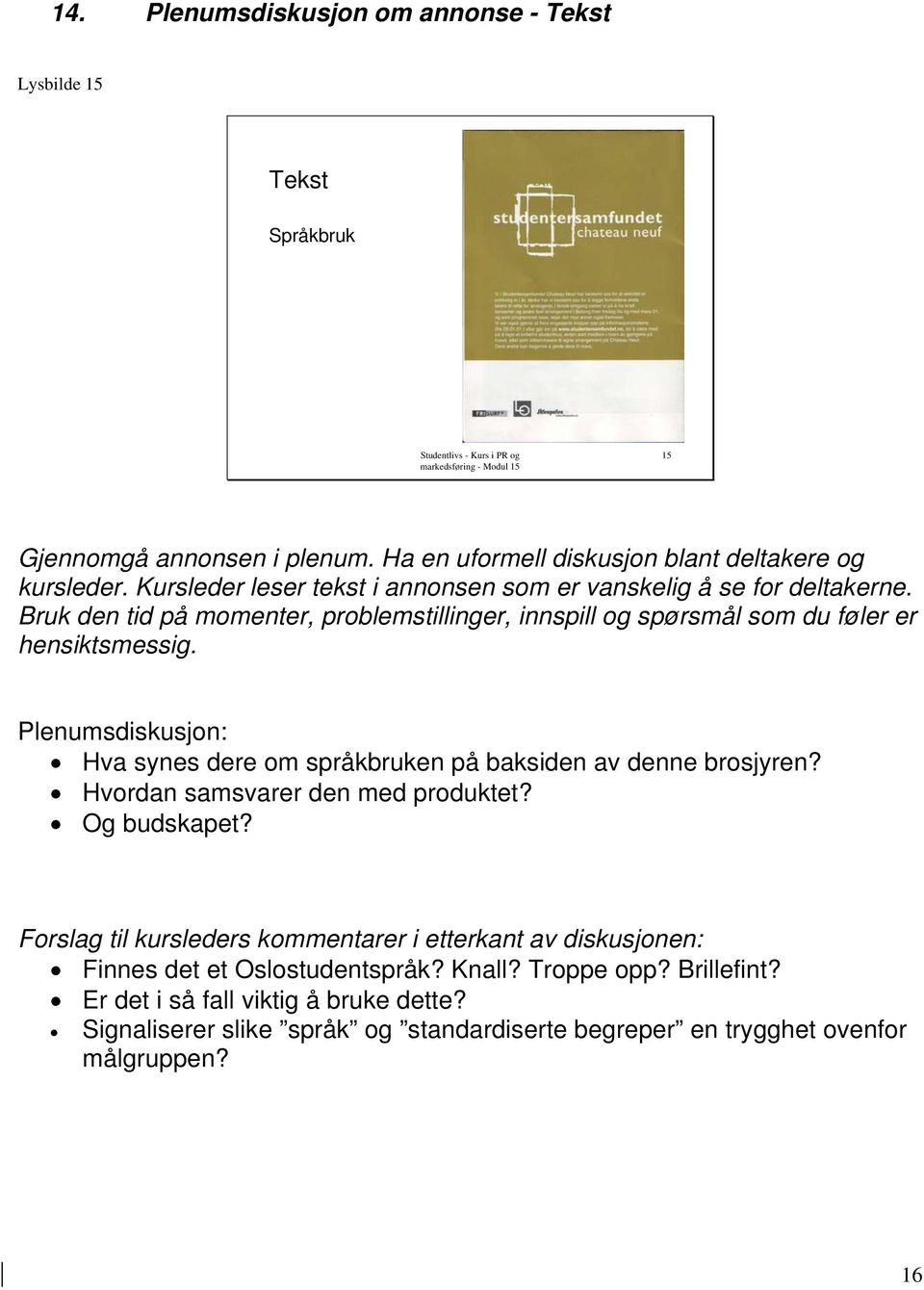 Plenumsdiskusjon: Hva synes dere om språkbruken på baksiden av denne brosjyren? Hvordan samsvarer den med produktet? Og budskapet?