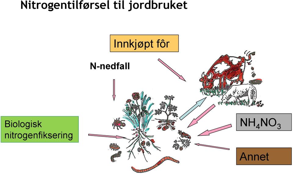 Innkjøpt fôr Biologisk