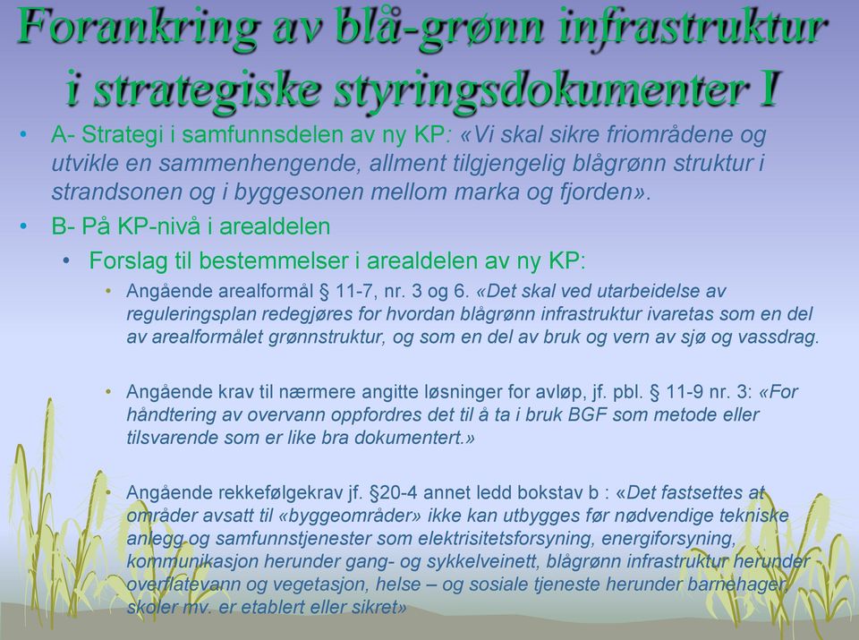 «Det skal ved utarbeidelse av reguleringsplan redegjøres for hvordan blågrønn infrastruktur ivaretas som en del av arealformålet grønnstruktur, og som en del av bruk og vern av sjø og vassdrag.