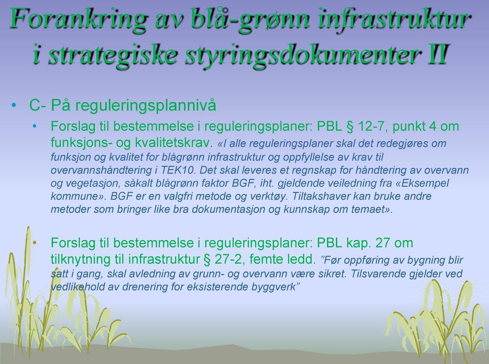 Det skal leveres et regnskap for håndtering av overvann og vegetasjon, såkalt blågrønn faktor BGF, iht. gjeldende veiledning fra «Eksempel kommune». BGF er en valgfri metode og verktøy.