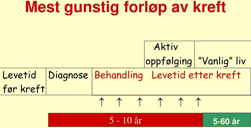 oppfølging Vanlig liv Diagnose