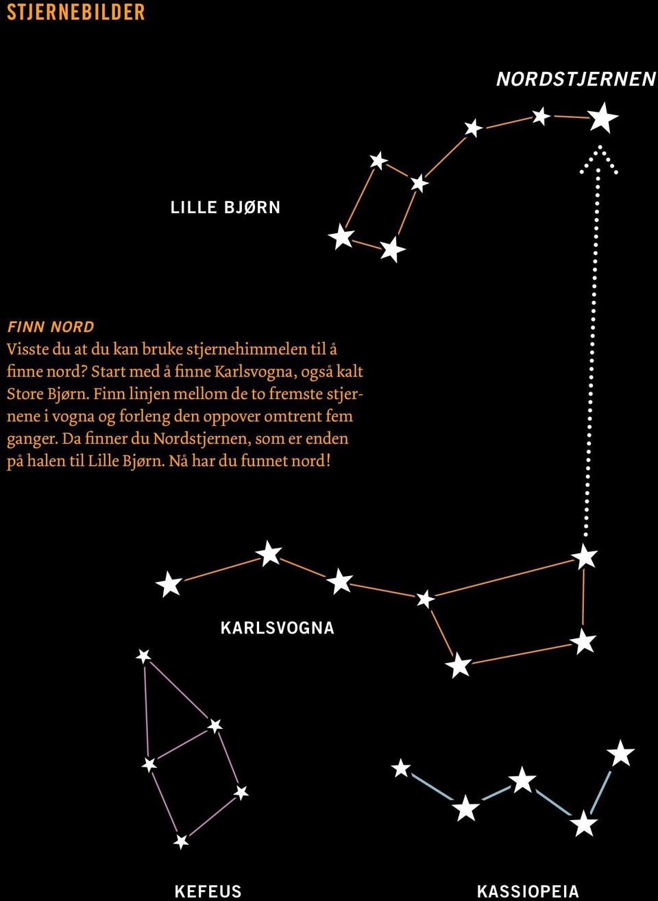 Finn linjen mellom de to fremste stjernene i vogna og forleng den oppover omtrent fem ganger.