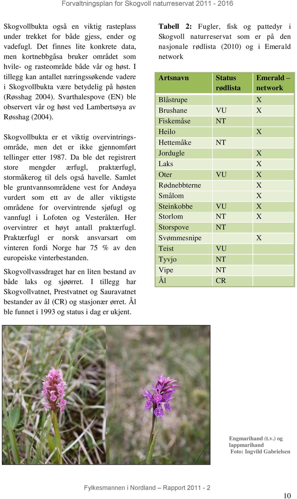 Skogvollbukta er et viktig overvintringsområde, men det er ikke gjennomført tellinger etter 1987. Da ble det registrert store mengder ærfugl, praktærfugl, stormåkerog til dels også havelle.