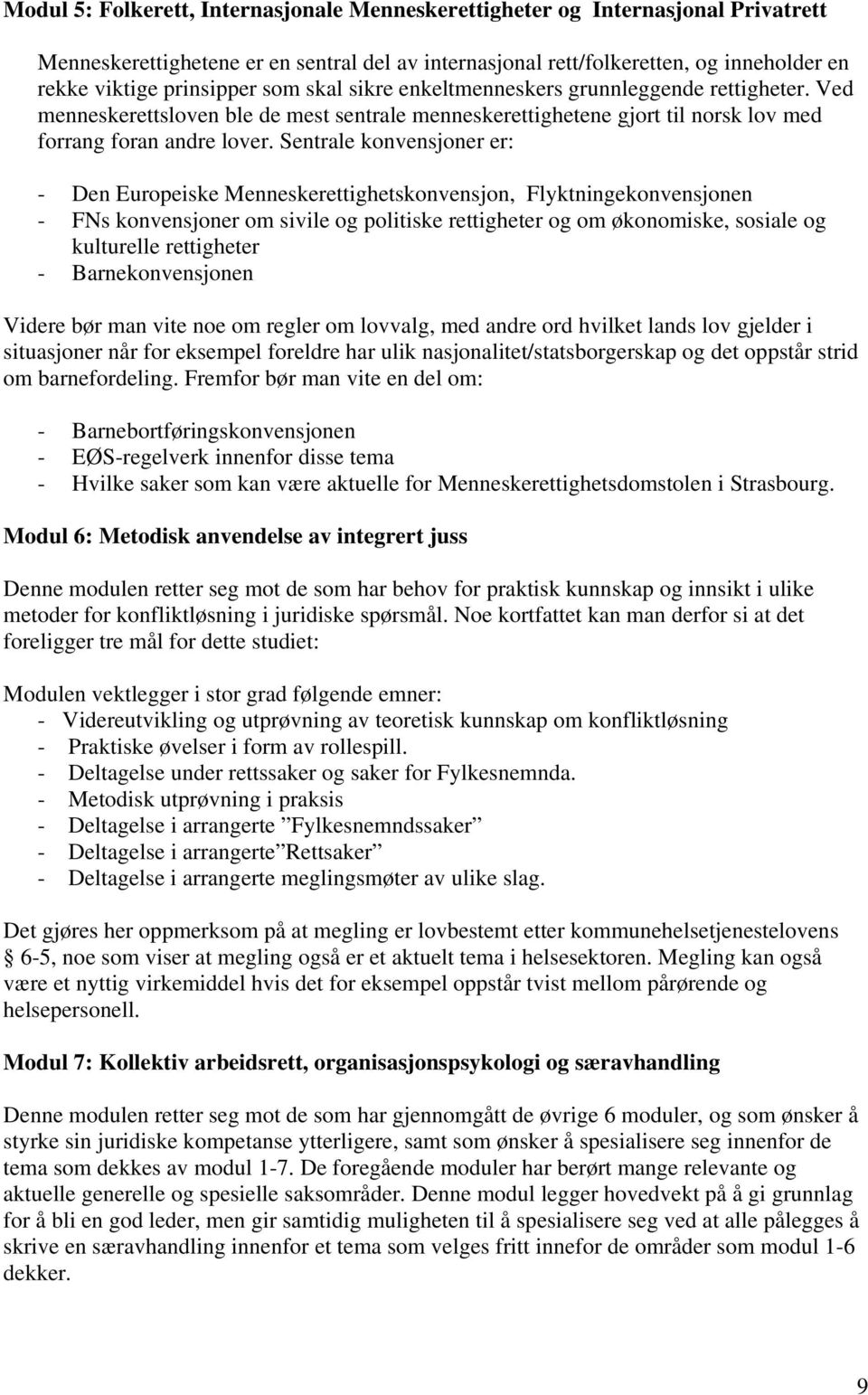 Sentrale konvensjoner er: - Den Europeiske Menneskerettighetskonvensjon, Flyktningekonvensjonen - FNs konvensjoner om sivile og politiske rettigheter og om økonomiske, sosiale og kulturelle