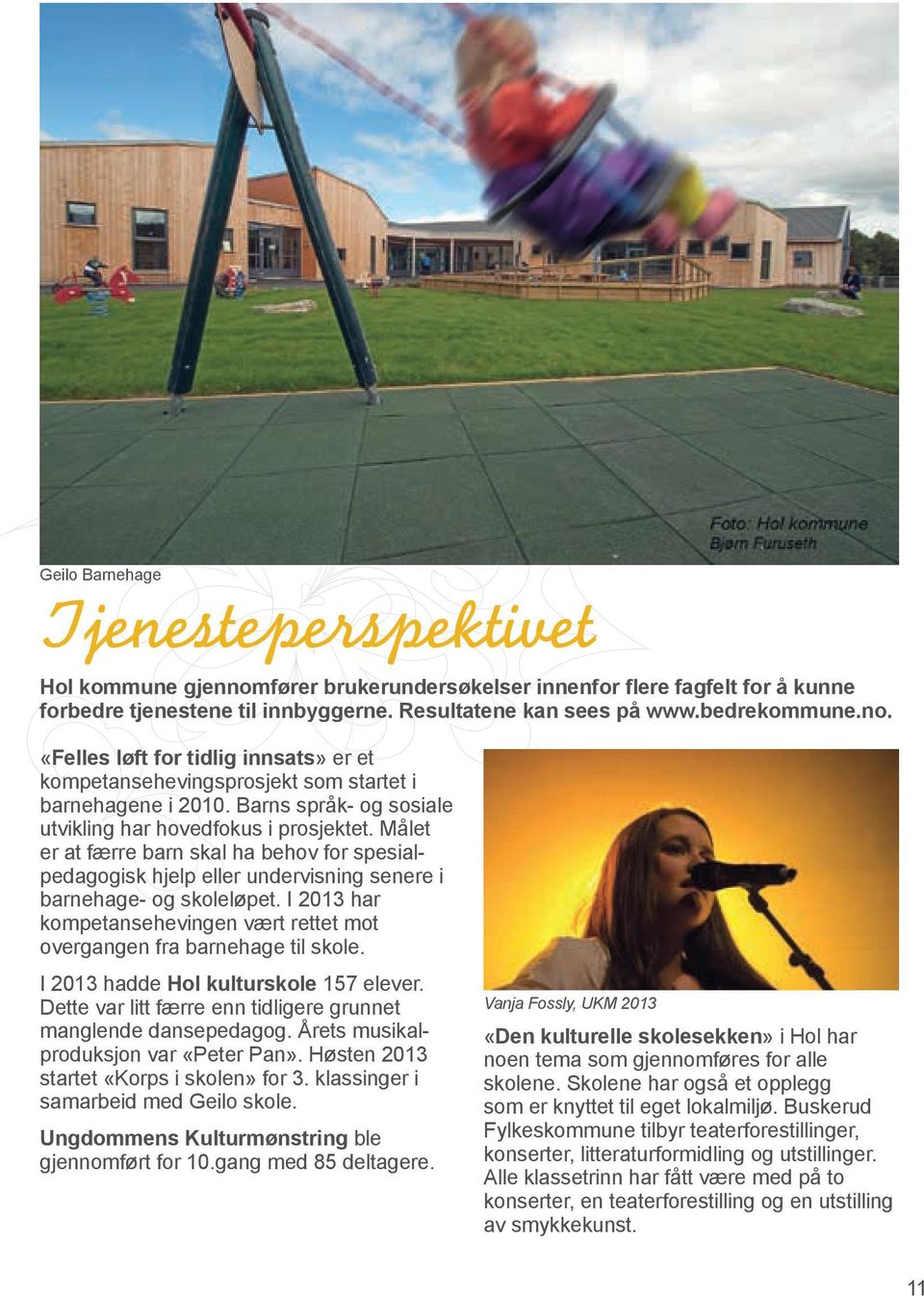 I 2013 har kompetansehevingen vært rettet mot overgangen fra barnehage til skole. I 2013 hadde Hol kulturskole 157 elever. Dette var litt færre enn tidligere grunnet manglende dansepedagog.