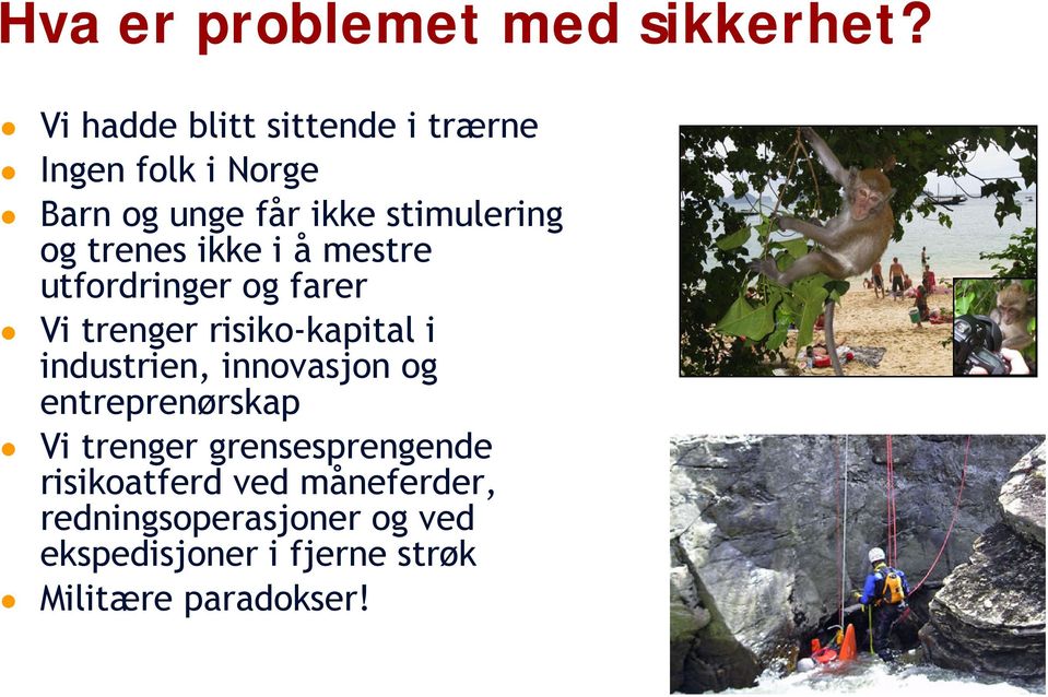 trees ikke i å mestre utfordriger og farer Vi treger risiko-kapital i idustrie,