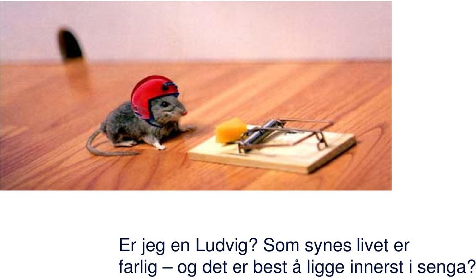 farlig og det er