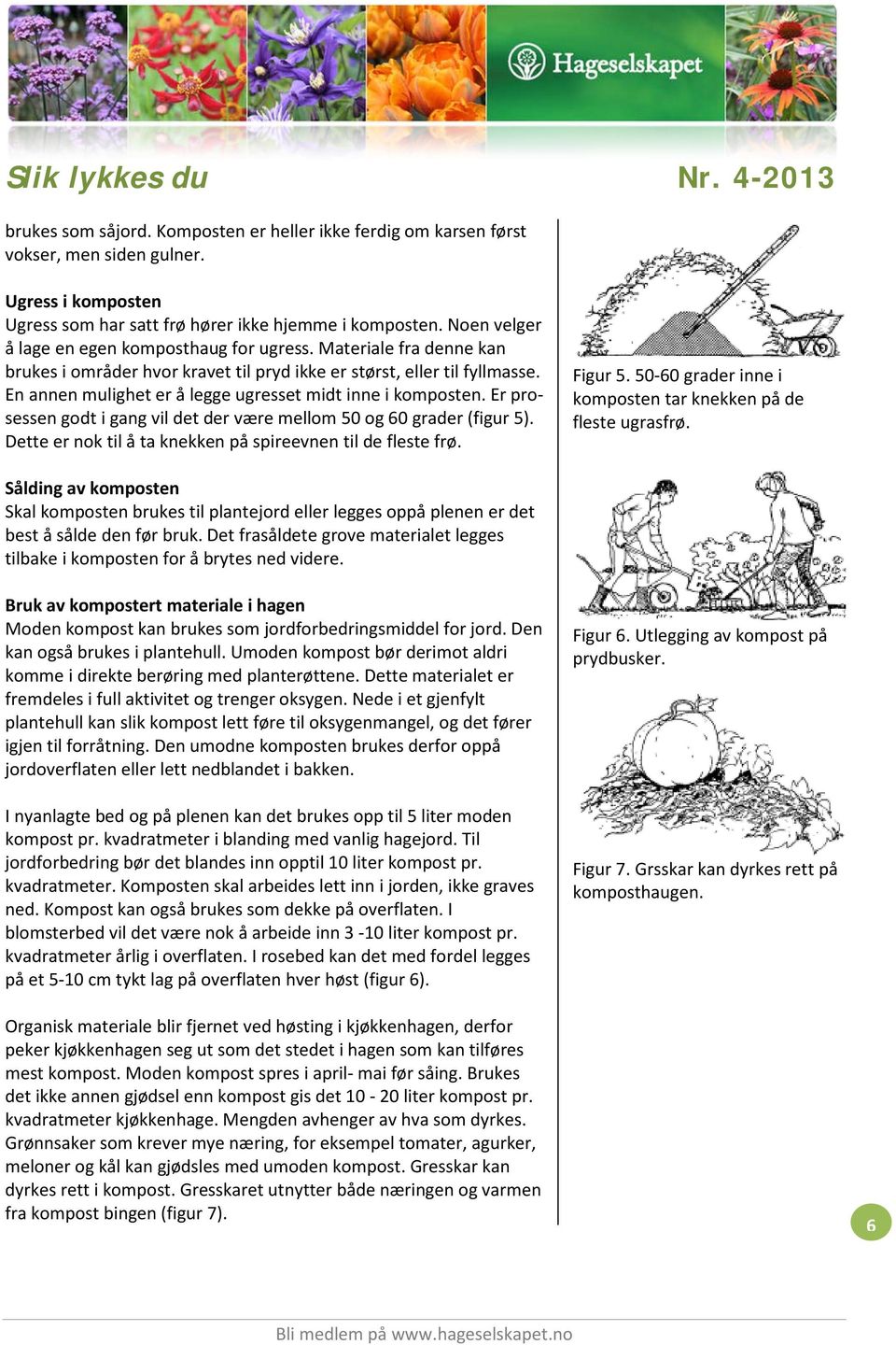 En annen mulighet er å legge ugresset midt inne i komposten. Er prosessen godt i gang vil det der være mellom 50 og 60 grader (figur 5). Dette er nok til å ta knekken på spireevnen til de fleste frø.