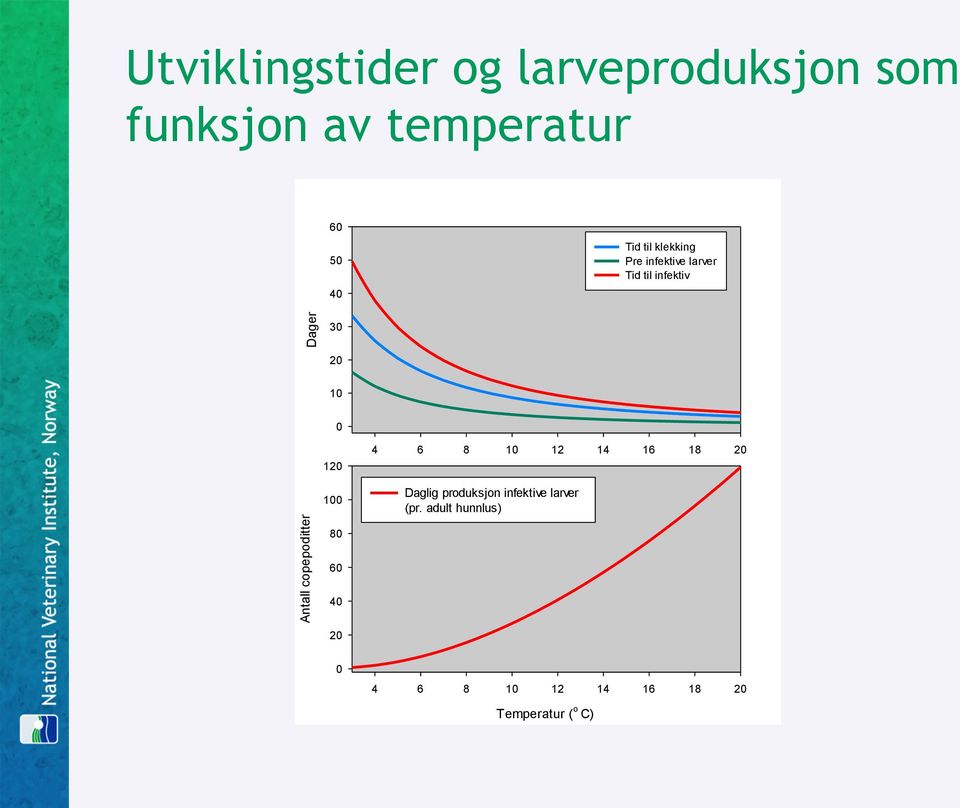 8 10 12 14 16 18 20 Antall copepoditter 100 80 60 40 20 Daglig produksjon