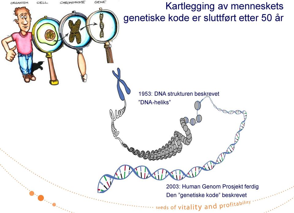 strukturen beskrevet DNA-heliks 2003: