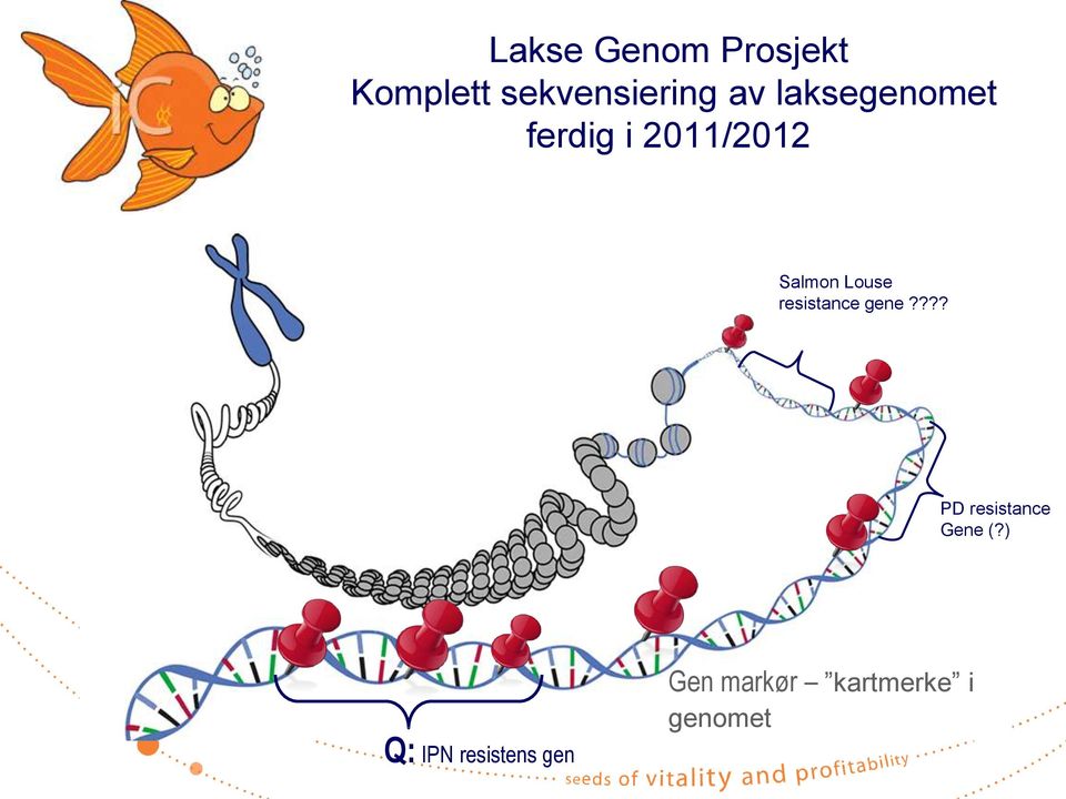 resistance gene???? PD resistance Gene (?