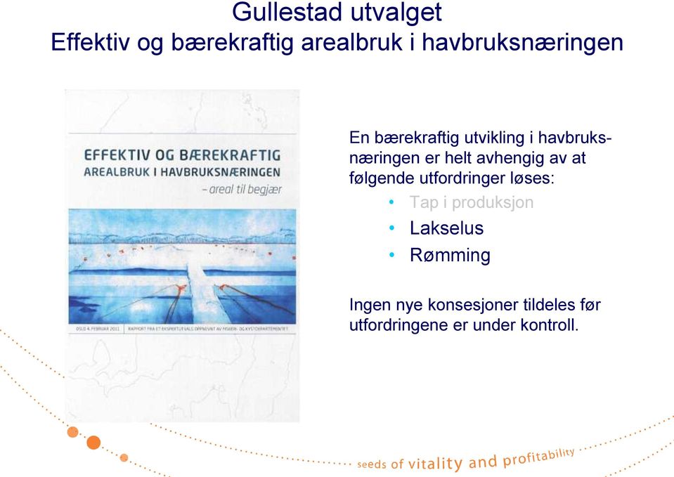 helt avhengig av at følgende utfordringer løses: Tap i produksjon