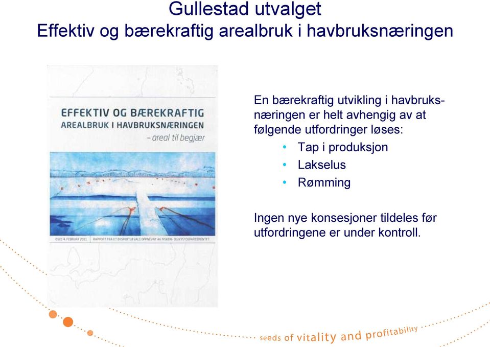 helt avhengig av at følgende utfordringer løses: Tap i produksjon