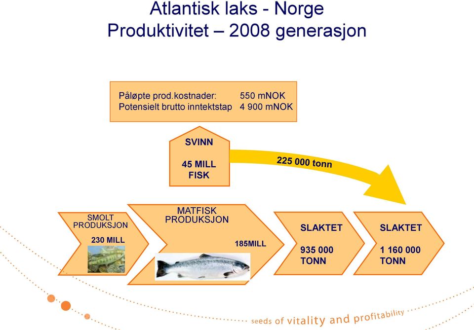 mnok SVINN 45 MILL FISK SMOLT PRODUKSJON 230 MILL MATFISK