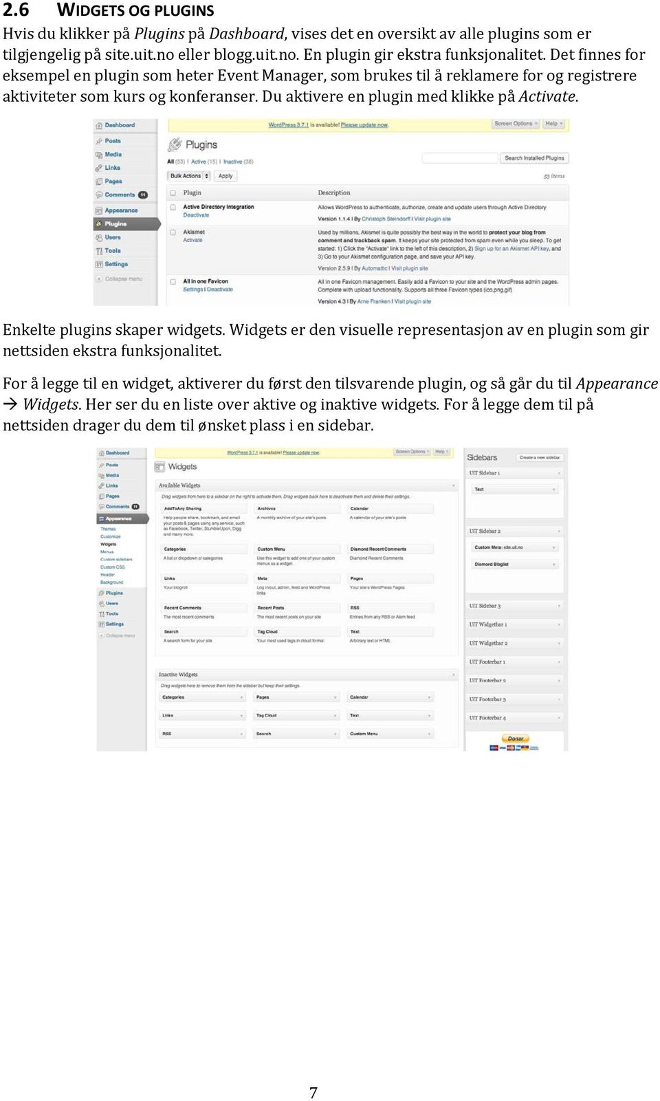 Enkelte plugins skaper widgets. Widgets er den visuelle representasjon av en plugin som gir nettsiden ekstra funksjonalitet.