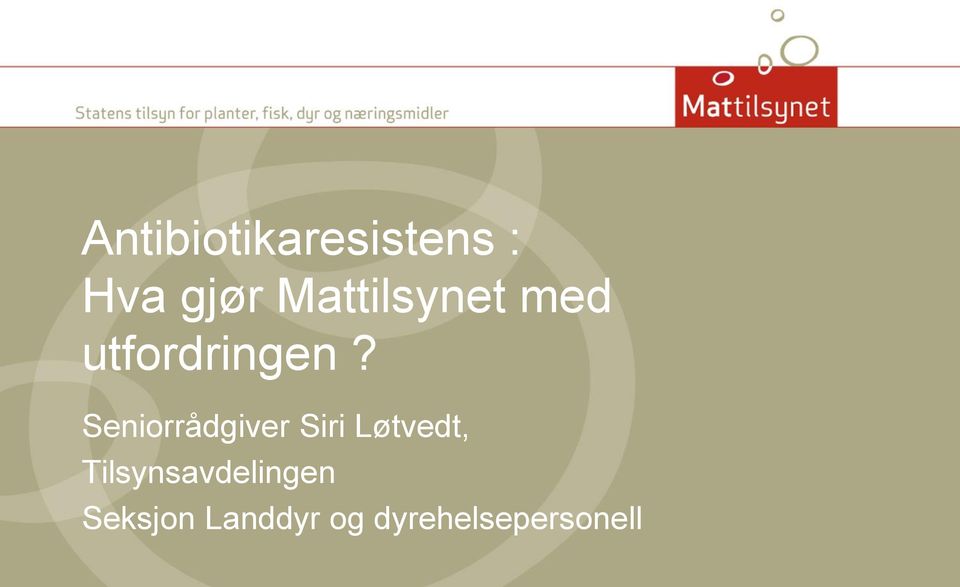 Seniorrådgiver Siri Løtvedt,