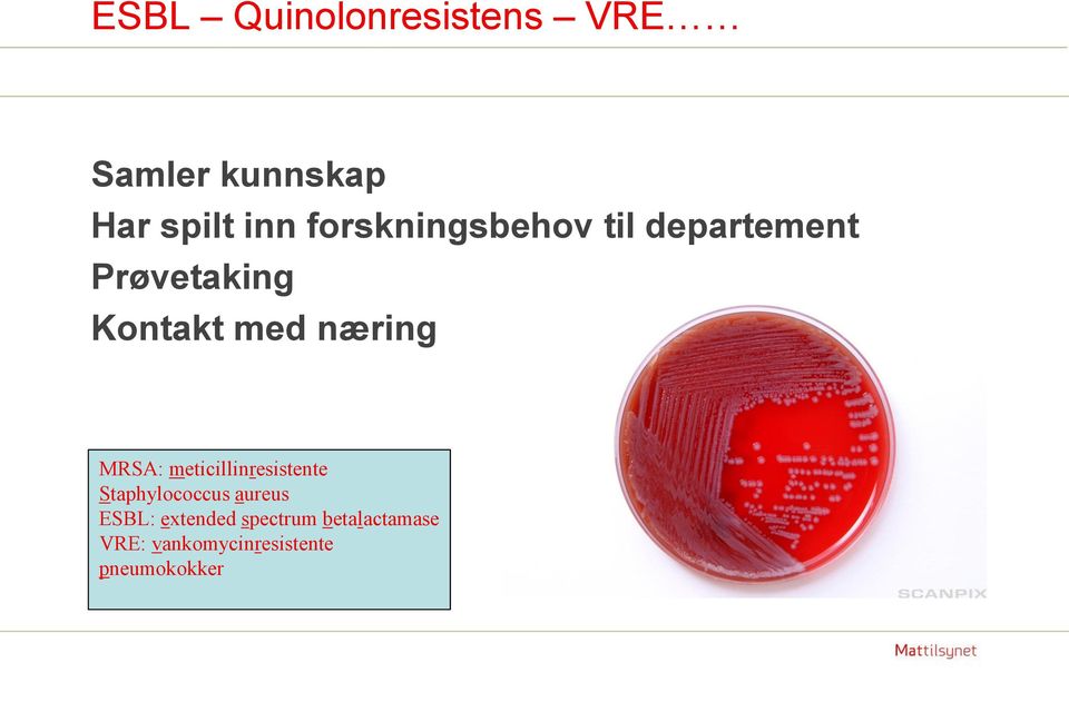 næring MRSA: meticillinresistente Staphylococcus aureus ESBL: