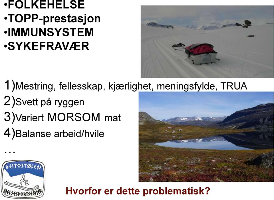 TRUA 2)Svett på ryggen 3)Variert MORSOM mat