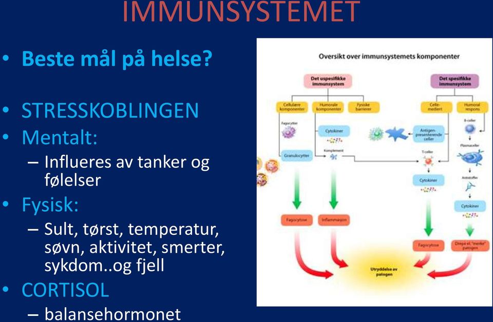 følelser Fysisk: Sult, tørst, temperatur, søvn,