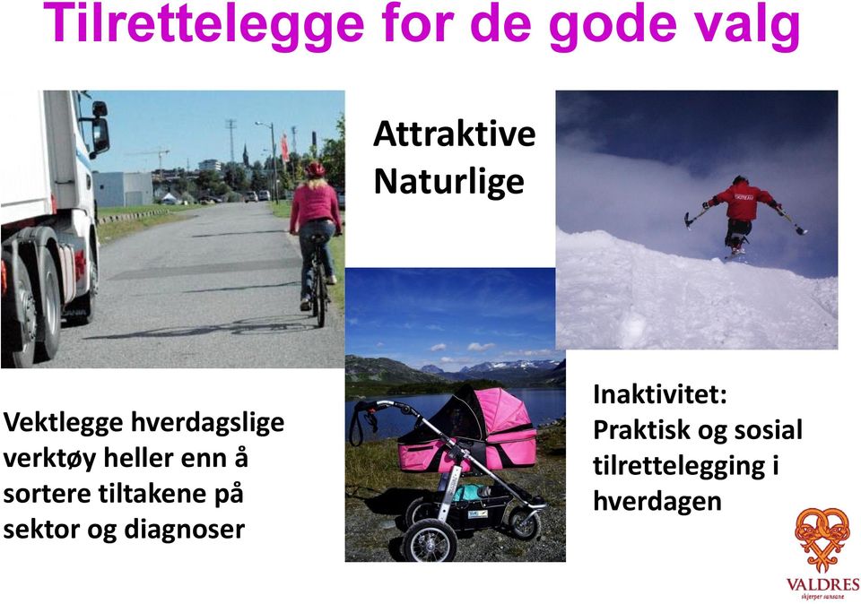 enn å sortere tiltakene på sektor og diagnoser